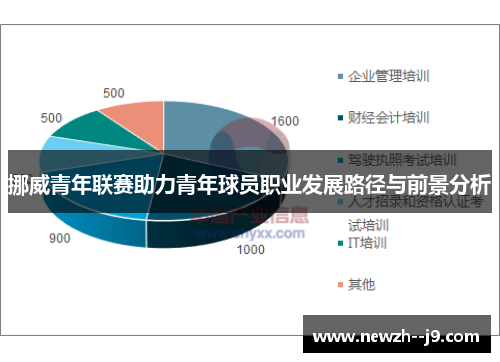 挪威青年联赛助力青年球员职业发展路径与前景分析