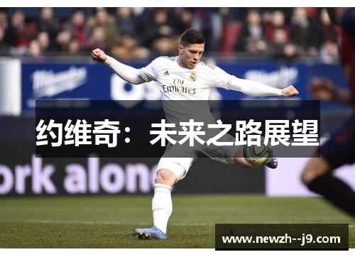 约维奇：未来之路展望